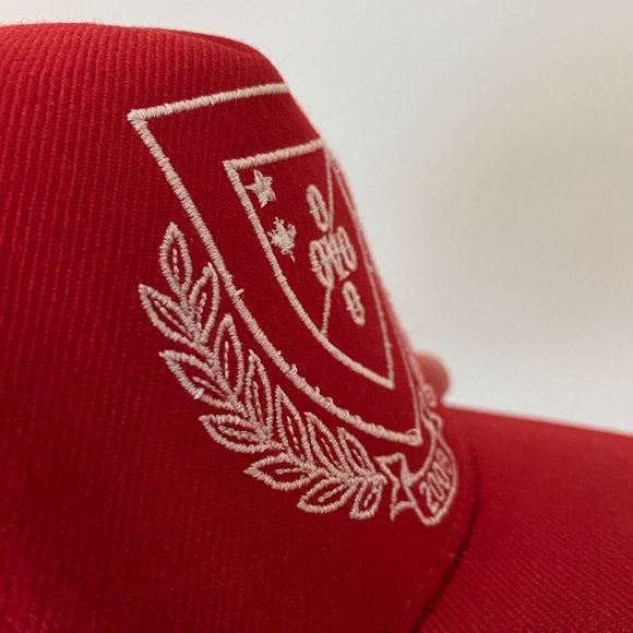 OVO DRAKE OCTOBER'S VERY OWN OWL RARE 2008 SNAPBACK CAP HAT MADE IN USA - Picture 6 of 9